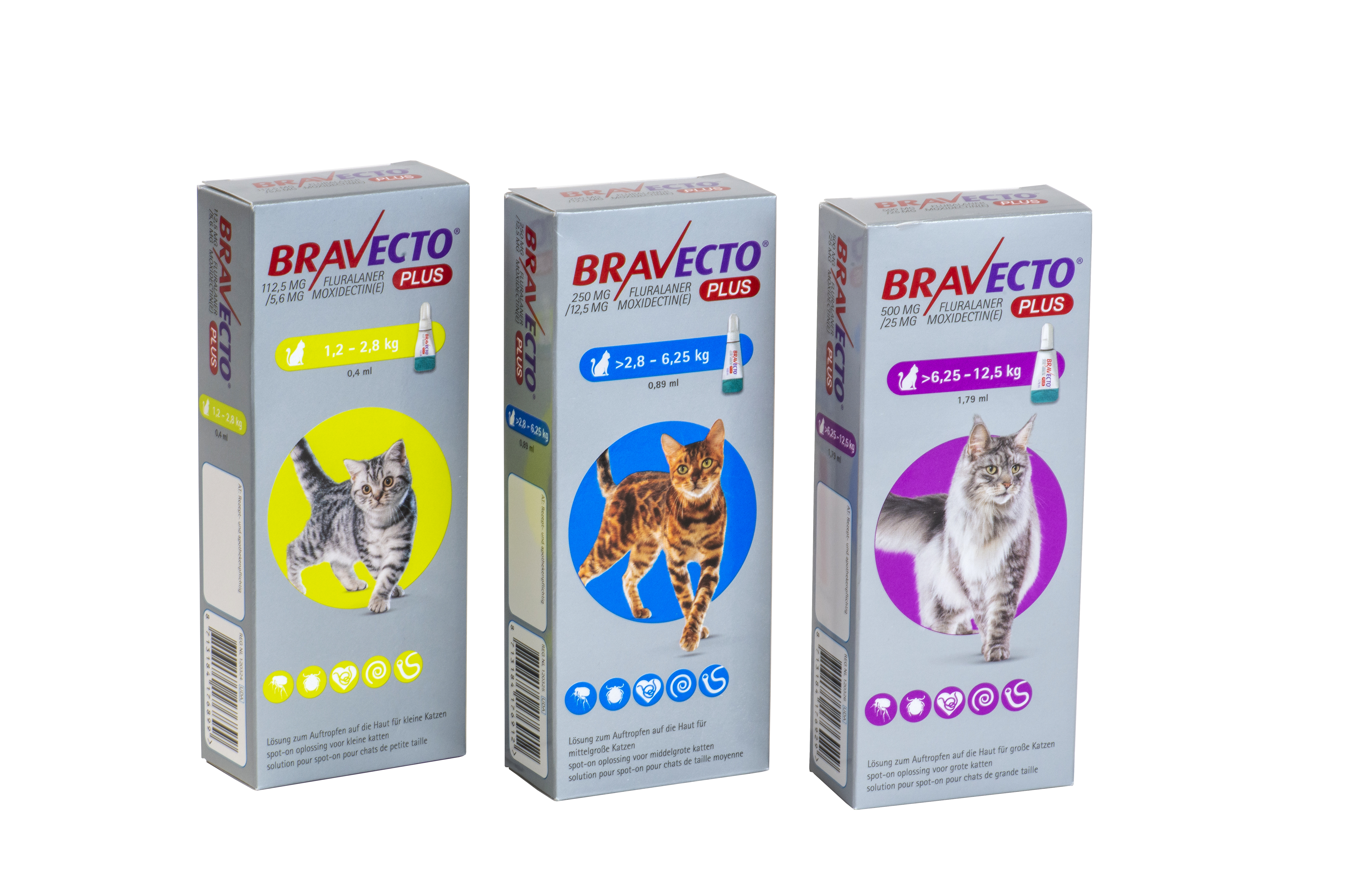 Bravecto Plus Desormais Indique Dans Le Traitement De La Gale Des Oreilles Du Chat