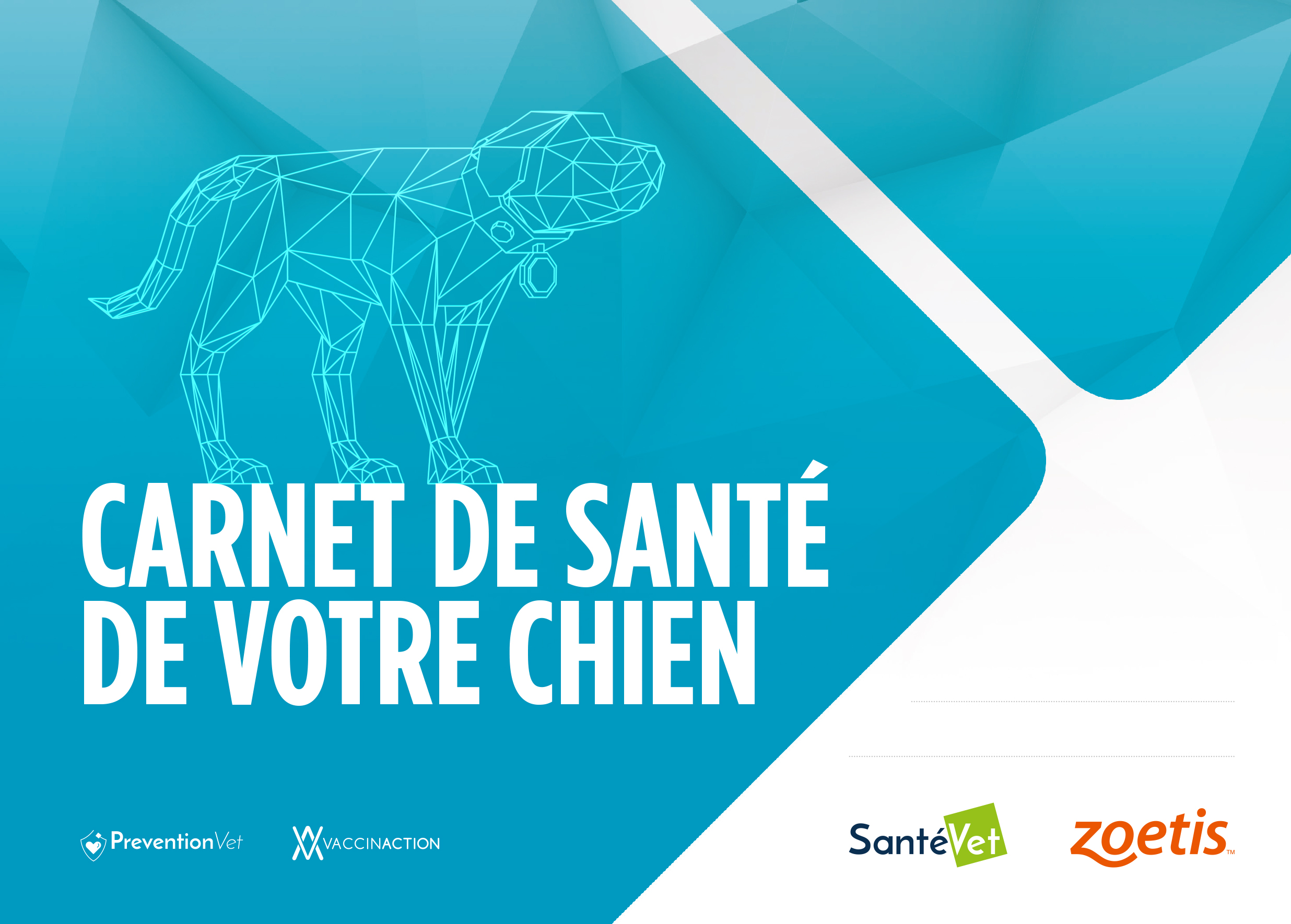Du Carnet De Vaccination Au Carnet De Sante