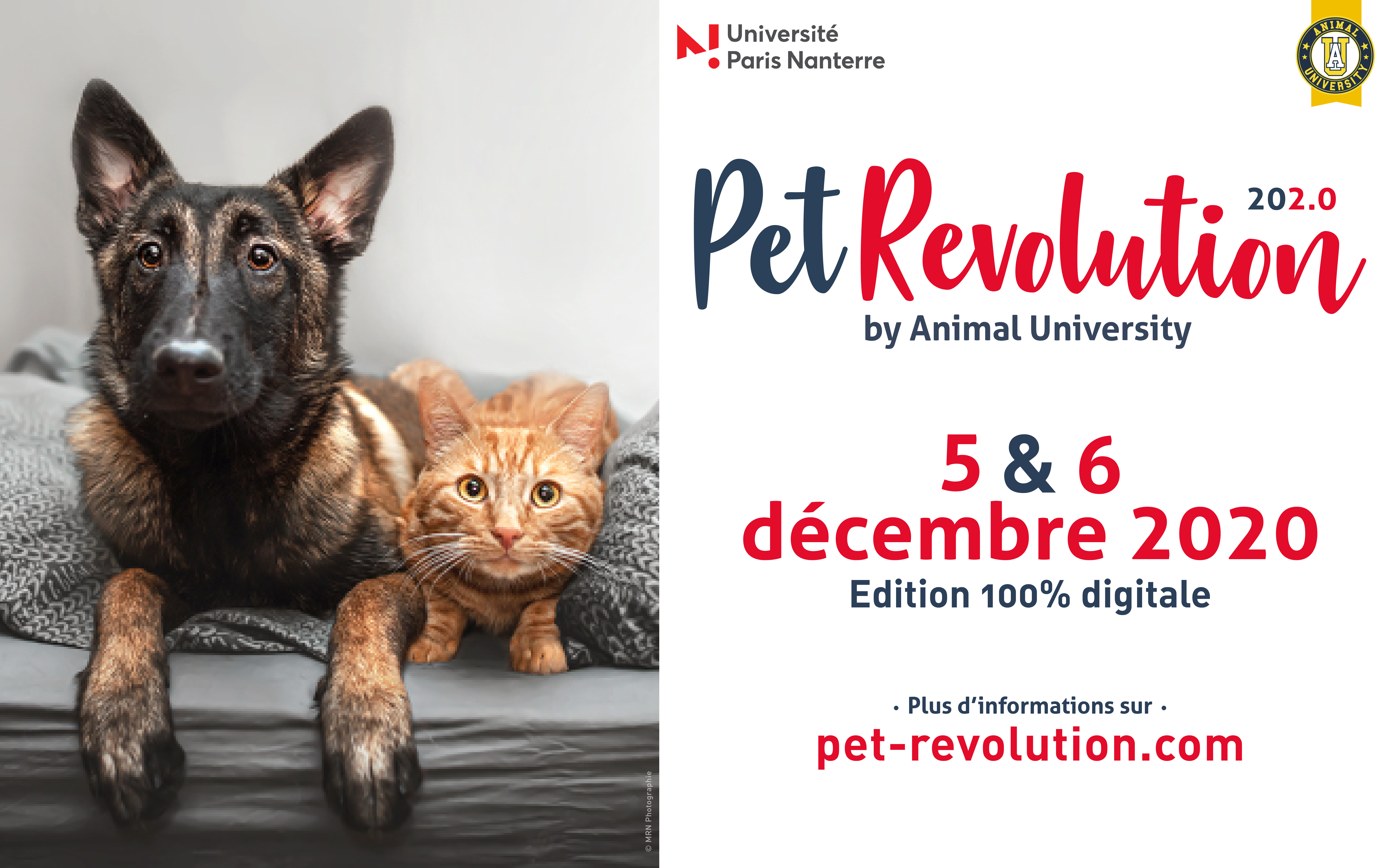 Pet Revolution : l'interdisciplinarit&eacute; au programme d'une &eacute;dition