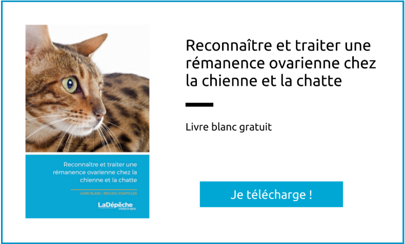 Télécharger notre livre blanc gratuitement