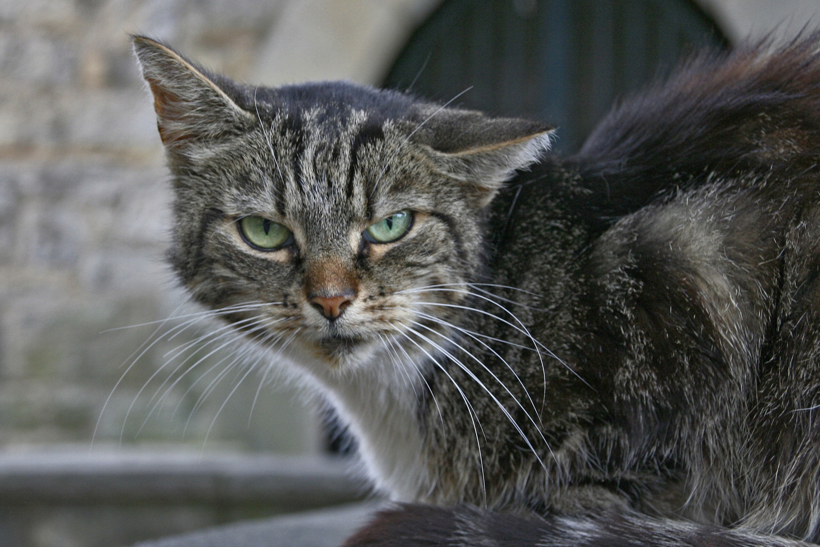 Rupture De Prozinc Retour A La Normale Prevu En Juillet