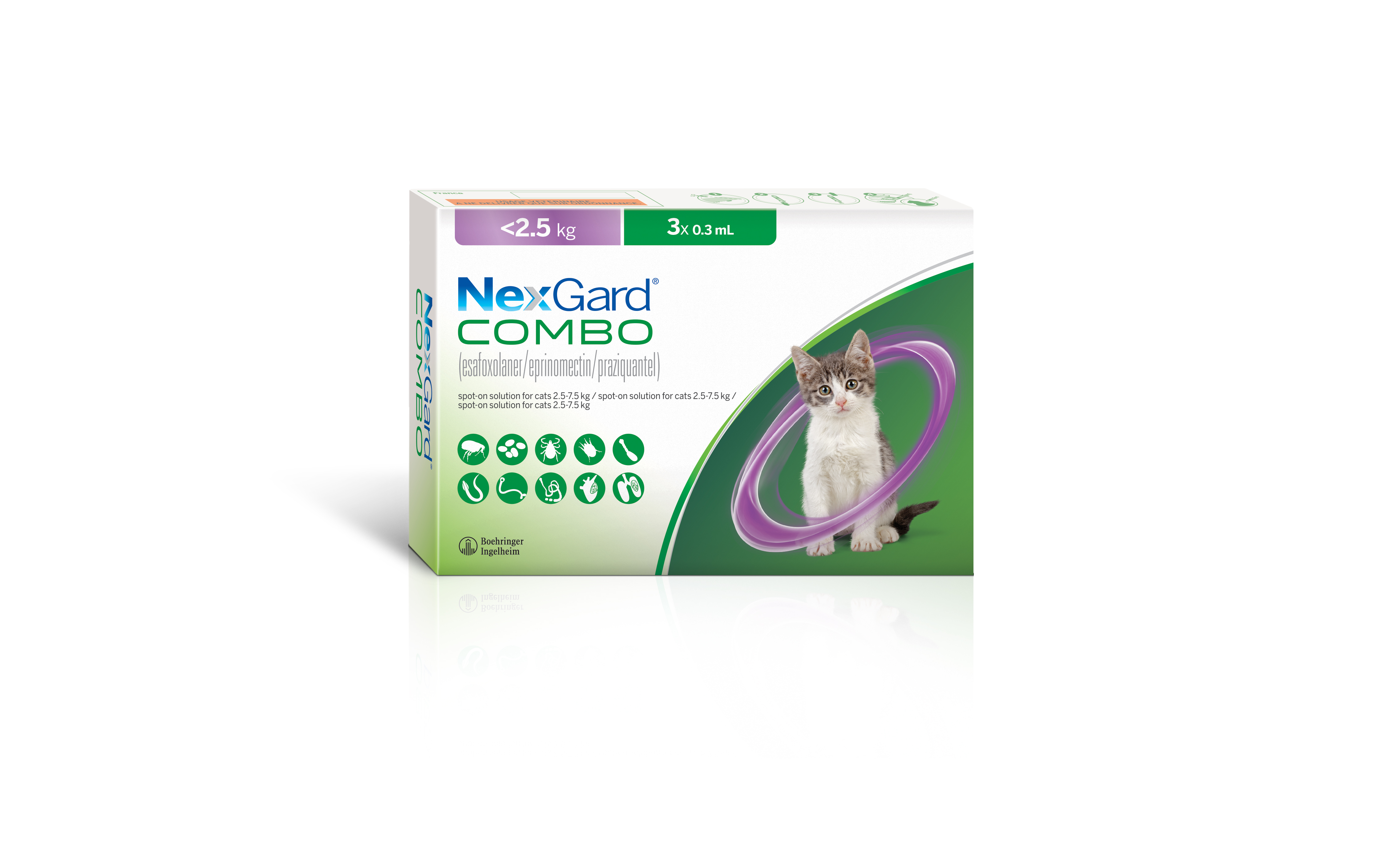 NexGard Combo, nouvel antiparasitaire topique pour chat