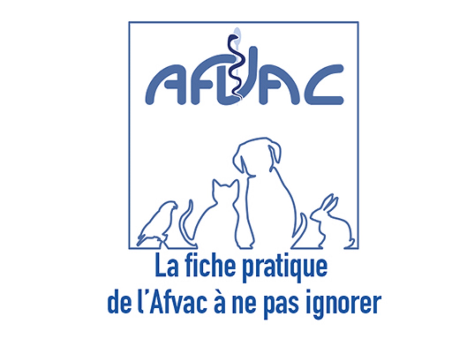 Syndrome vestibulaire du chien les causes