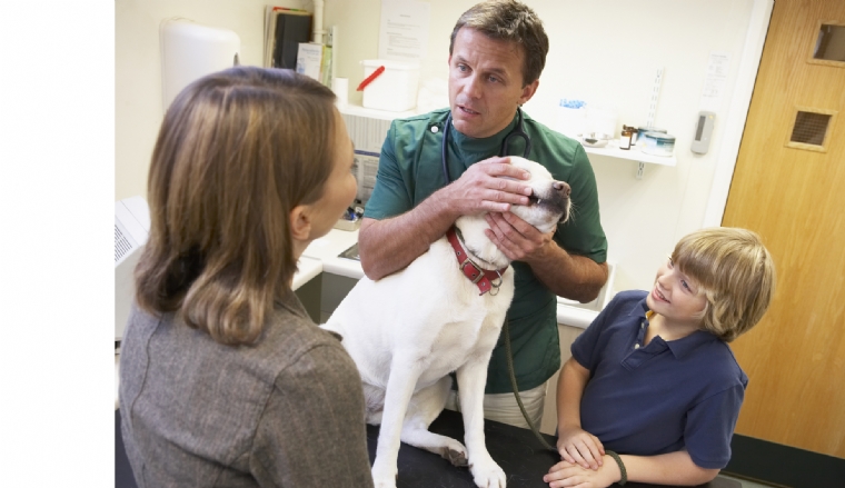 Améliorer la communication vétérinaire-client liée au poids de l'animal