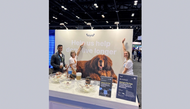 ÉtatsUnis Loyal développe des médicaments contre le vieillissement