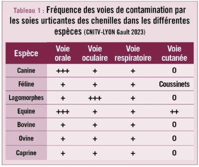 tableau1 chenilles dt214