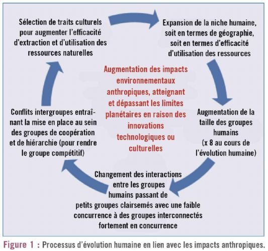 figure1 anthropocene dt214
