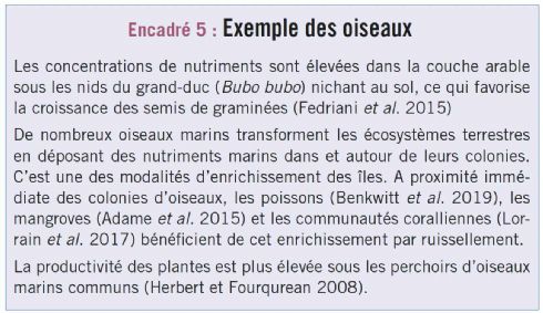 encadre5 biodiversite dt217