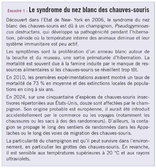encadre1 biodiversite dt218