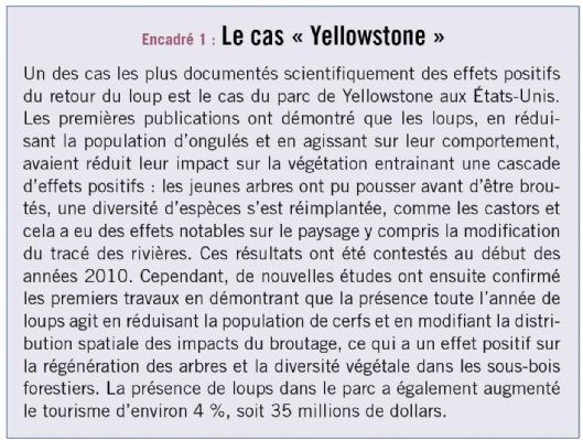 encadre1 loup biodiversite dt219