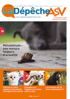 Bienvenue Sur La Depeche Veterinaire