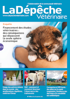 Les maladies des animaux ; un livre de mémoire et des conseils populaires  sur les soins et les problèmes de santé des animaux de ferme. La médecine  vétérinaire, des animaux domestiques.