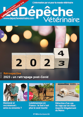 Credelio®, premier comprimé pour chat contre les puces et les tiques - Le  Point Vétérinaire.fr